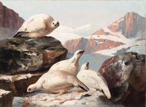 Grouse In The Snow, A Pair Of Paintings
Both Signed 'j. C. Bell 1861' (one Lower Left, One Lowerright) by John Christopher Bell