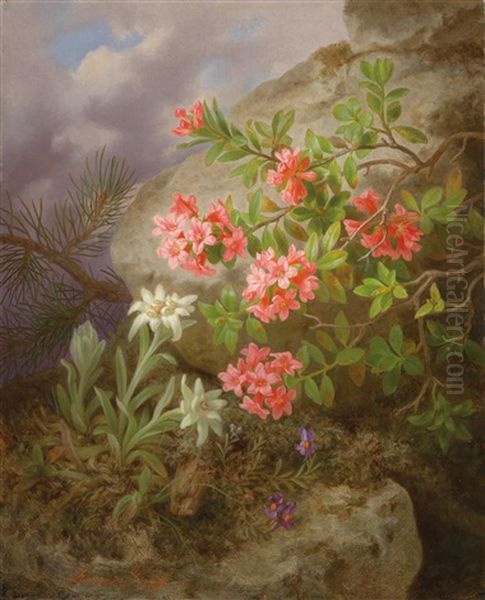 Alpenblumen - view 1