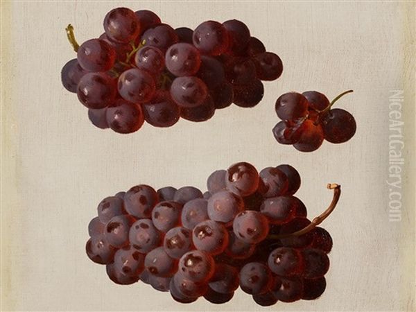Oil Study With Grapes - view 1