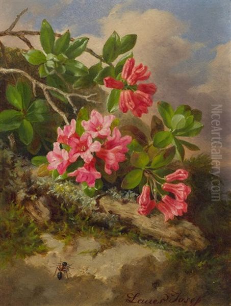 Stillleben Mit Alpenrosen Und Ameise - view 1
