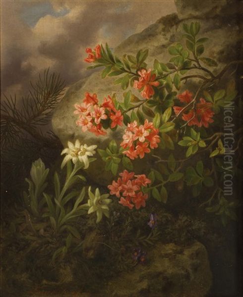 Alpenblumen - view 1