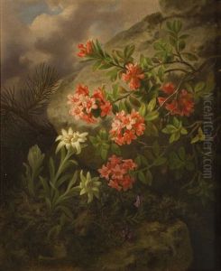Alpenblumen by Josef Lauer