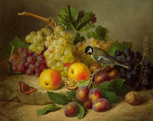 Fruchtestillleben Mit Kohlmeise Und Schmetterling - view 1