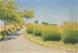 Route Aux Environs De Cailhau