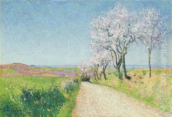 Chemin Aux Amandiers En Fleur - view 1