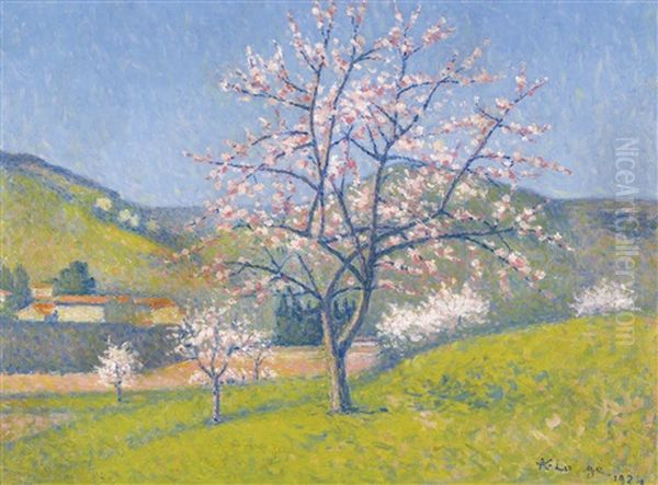 Arbres En Fleur A Alet-les-bans - view 1