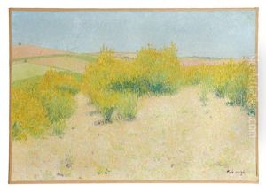 Paysage Aux Genets Paysage Aux Genets
