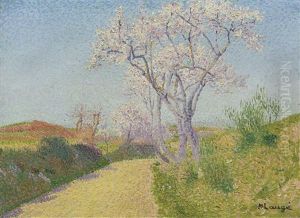La Route Aux Amandiers Fleuris