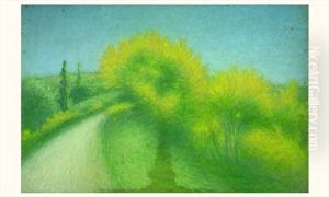 Chemin De Campagne Au Mimosa Chemin De Campagne Au Mimosa