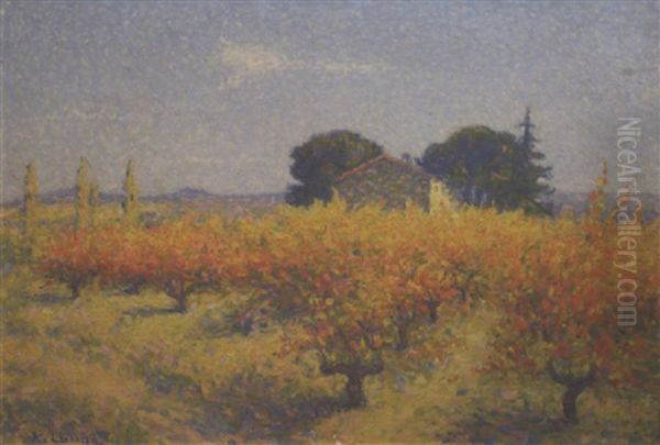Notre-dame Des Pres, Cailhau - view 1