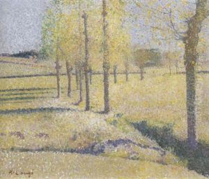 L'allee Des Saules A Calhau