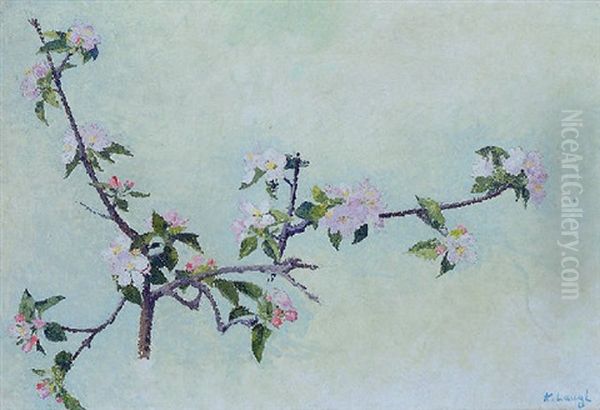 Branche De Pommier En Fleur - view 1