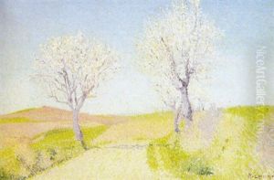 Amandiers En Fleurs