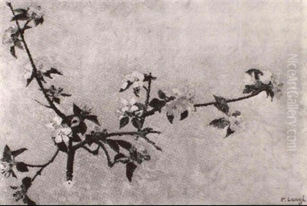 Branche De Cerisiers En Fleurs - view 1
