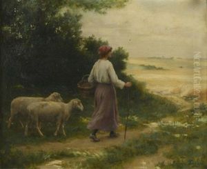 Bergere Et Moutons