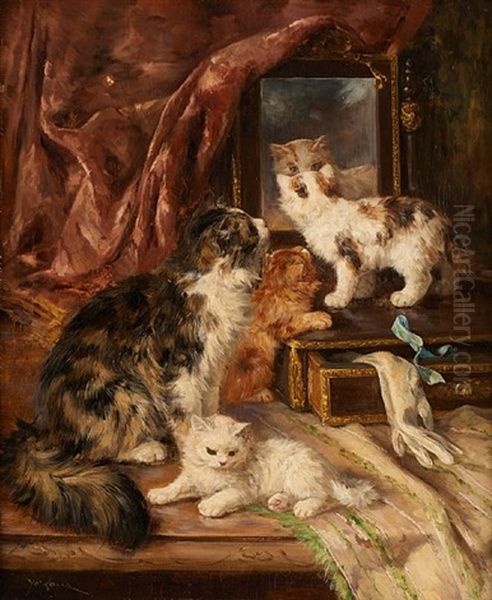 Chatte Et Ses Chatons Devant Le Miroir - view 1