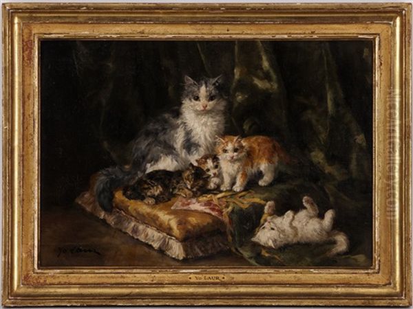 Chatte Avec Ses Quatre Chatons - view 1