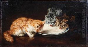 Three Kittens With A Bowl Of Milk