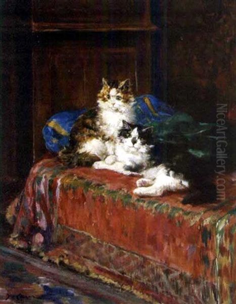 Chatons - view 1
