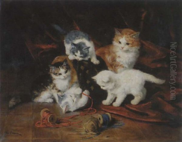 Spielende Katzen - view 1