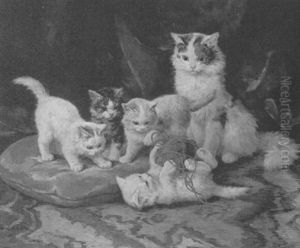 Chatons A La Pelote De Laine by Marie Yvonne Laur