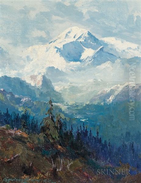 Mount Mckinley - view 1