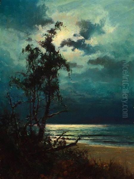 Moonlight Reflections - view 1