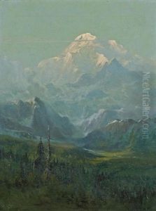 Mount Mckinley View