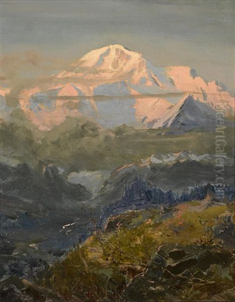 Evening Glow On Mount Mckinley - view 1