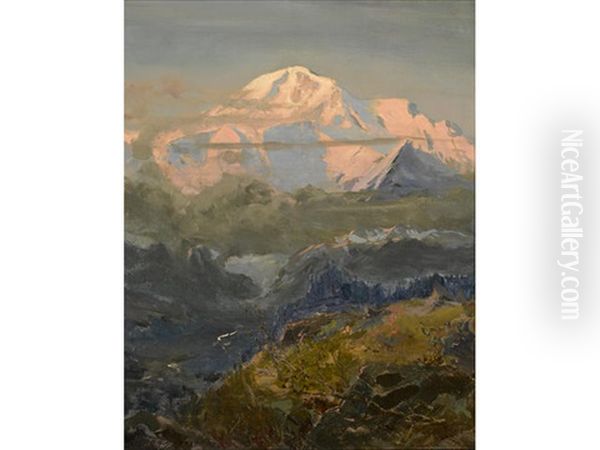 Evening Glow On Mount Mckinley - view 1