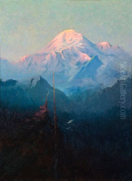 Mt. Mckinley - view 1