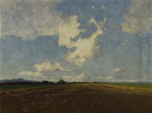 A Mangold Field A Mangold Field