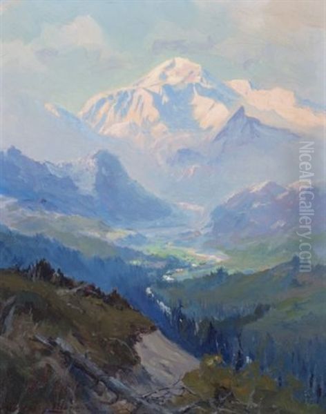 Mt. Mckinley - view 1