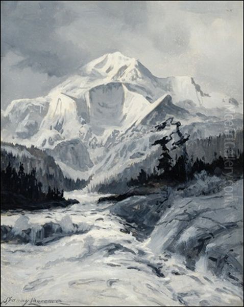 Mt Mckinley - view 1