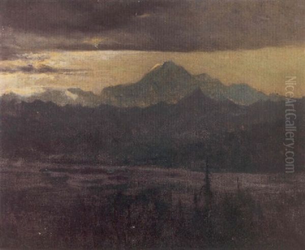 A View Of Mt. Mckinley At Midnight In June - view 1