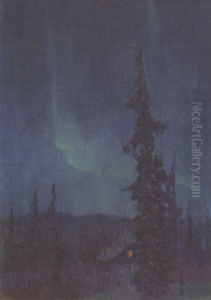 Northern Lights - view 1