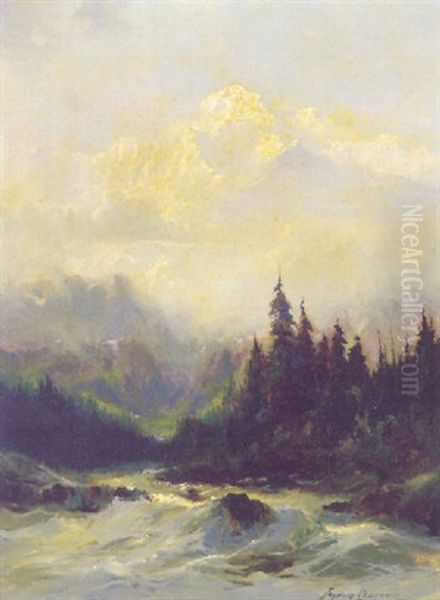 Rapids Of The Tokosheetna River - view 1