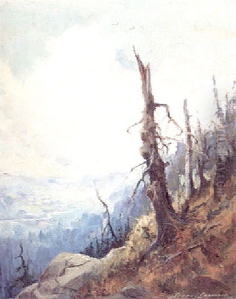 Vista - view 1