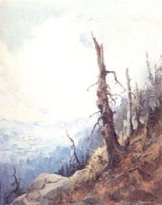 Vista by Sydney Mortimer Laurence