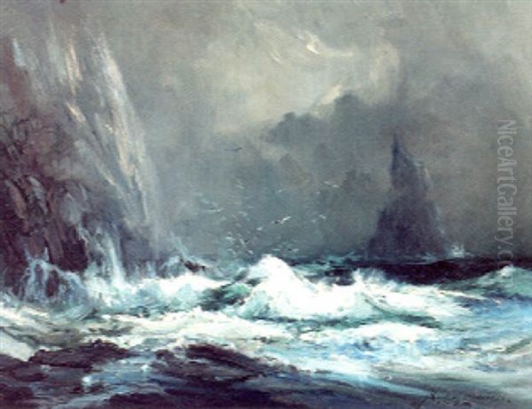 Pinnacle Rock, Cape St. Elias, Alaska - view 1