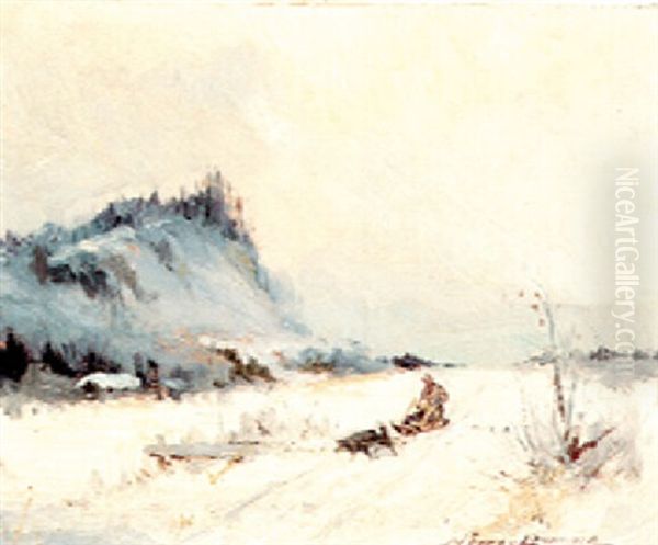 Dog Sled - view 1
