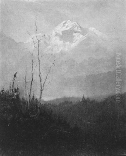 Mount Mckinley - view 1