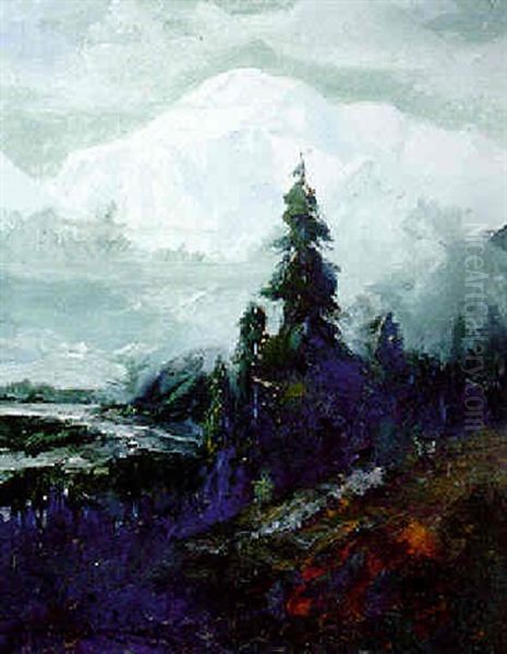 Mt. Mckinley - view 1