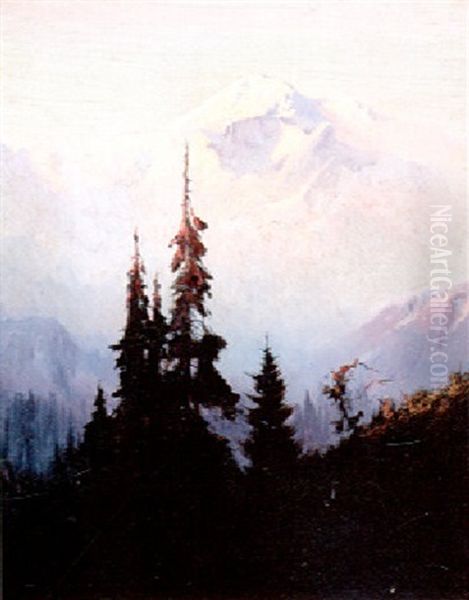 Mt. Mckinley - view 1