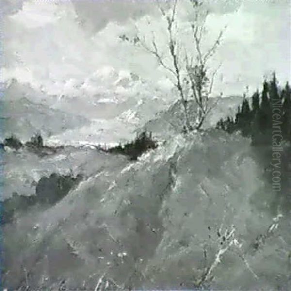 Mountain View - view 1