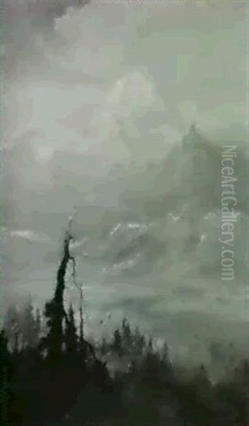 Mt. Mckinley, Alaska - view 1