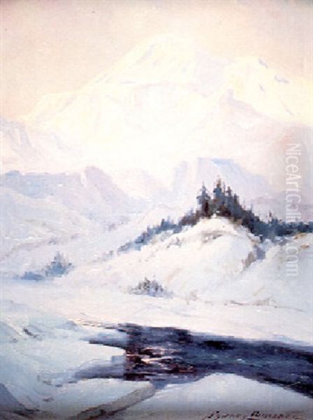 Mount Mckinley - view 1