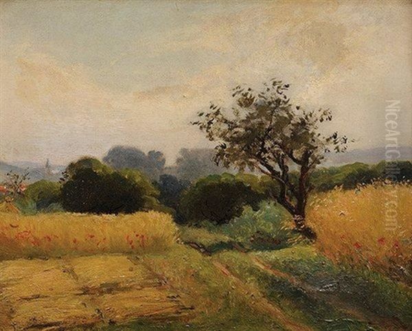 Chemin Dans Les Champs - view 1