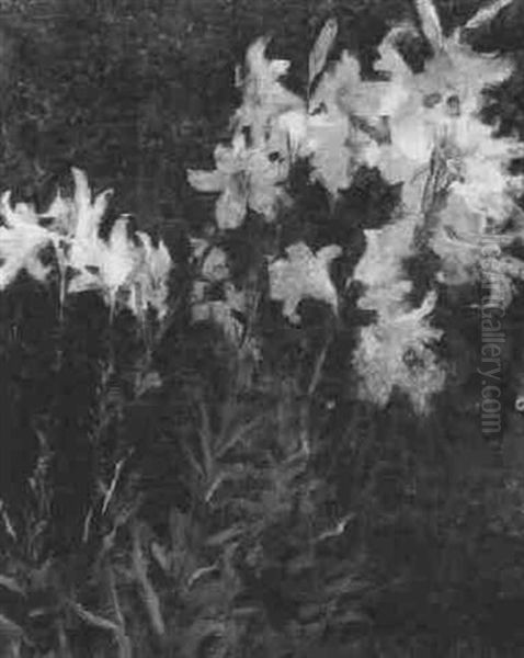 Lilies - view 1