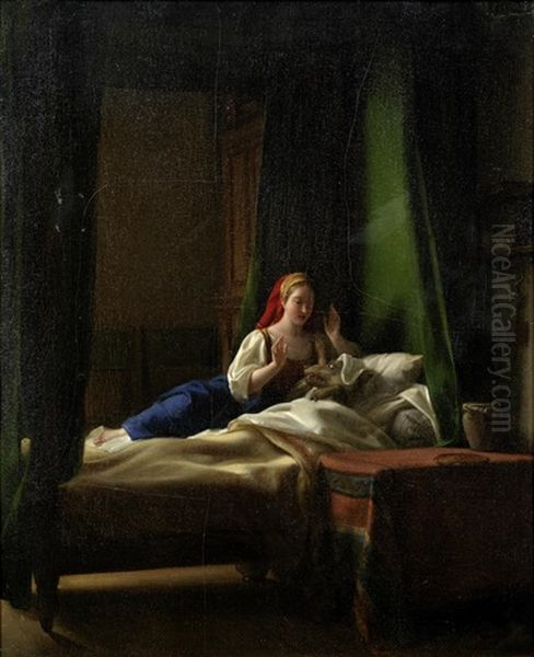 Little Red Riding Hood - view 1